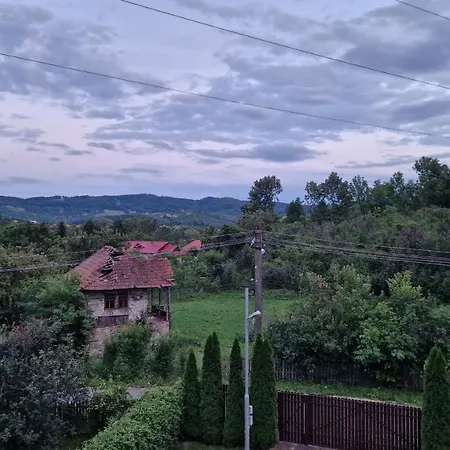 Dursi *